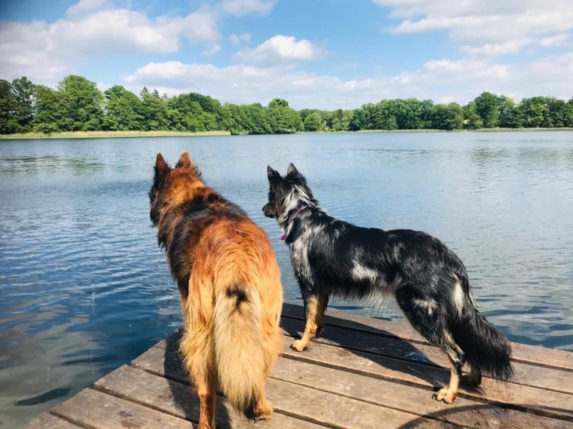 Ferienhaus Seeresidenz Am Muehlensee Godern Екстериор снимка
